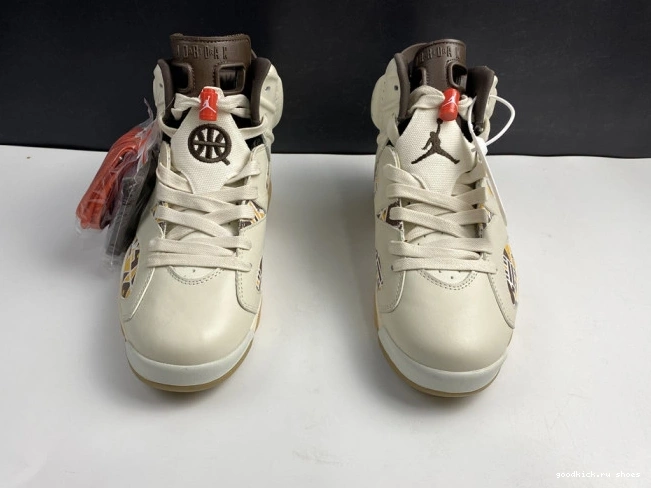 6 Retro AIR (2020) Quai54 Sail Jordan CZ4152-100 Brown 0819
